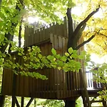 Hotel Baumhaushotel Solling *