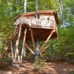 Baumhaushotel Solling Uslar