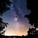 Baumhaushotel Solling Hotel Uslar