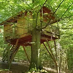 Hotel Baumhaushotel Solling *