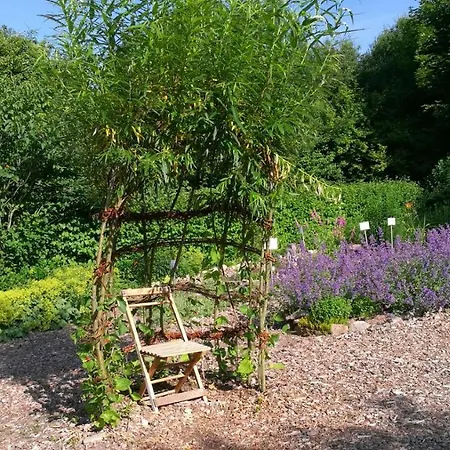 Baumhaushotel Solling *