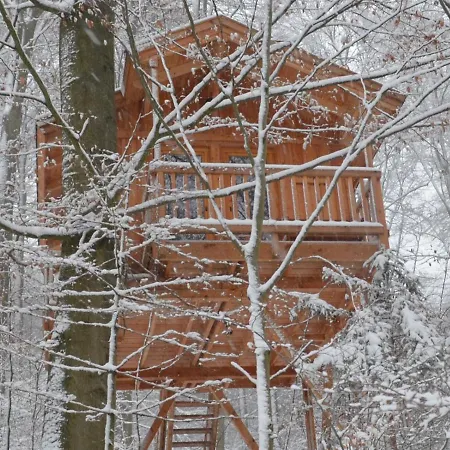 Baumhaushotel Solling Hotel Uslar