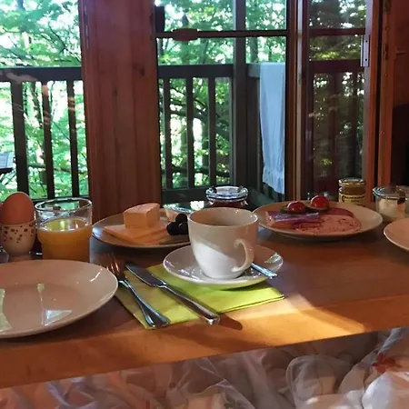 Baumhaushotel Solling ホテル ウスラー