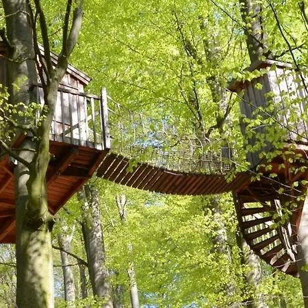 Hotel Baumhaushotel Solling *