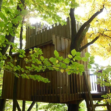 ホテル Baumhaushotel Solling *