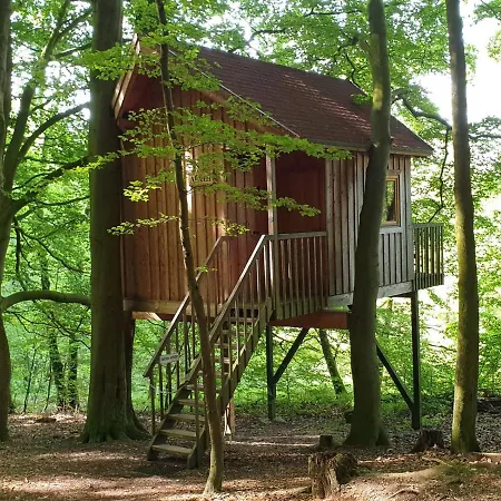 Baumhaushotel Solling *