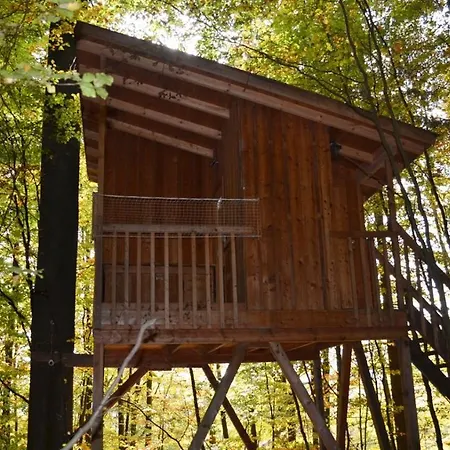 Baumhaushotel Solling