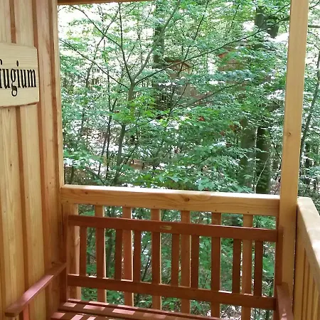 酒店 Baumhaushotel Solling 乌斯拉尔