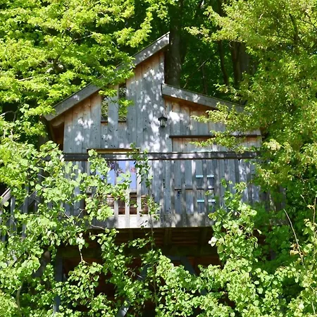ホテル Baumhaushotel Solling *