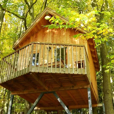 Отель Baumhaushotel Solling