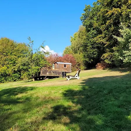 Baumhaushotel Solling Hotel