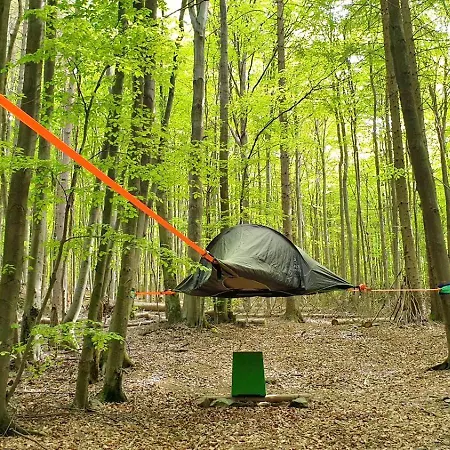 Baumhaushotel Solling Hotel Uslar