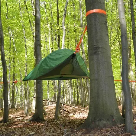 Baumhaushotel Solling Hotel Uslar