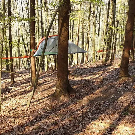 Baumhaushotel Solling Hotel *