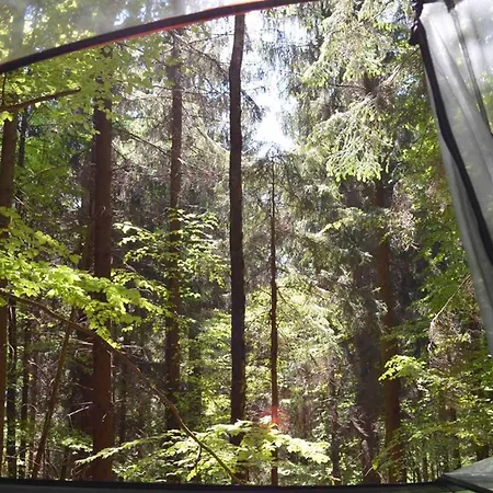 Baumhaushotel Solling * Uslar