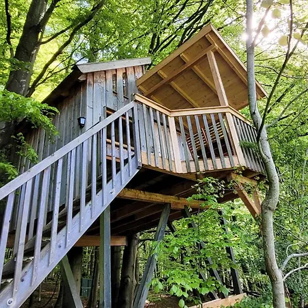 Hotel Baumhaushotel Solling *