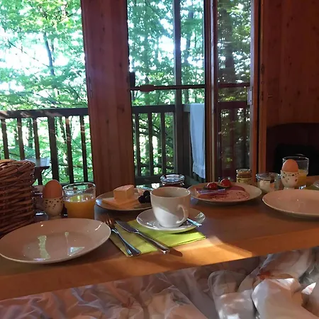 Baumhaushotel Solling ホテル