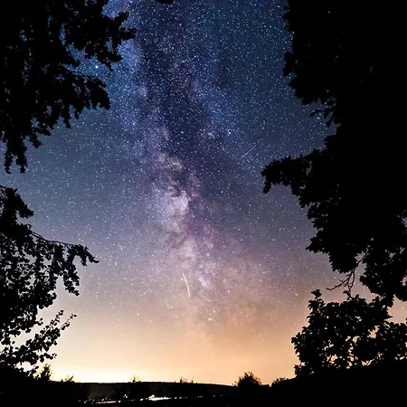 Baumhaushotel Solling Hotel Uslar