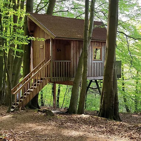 Baumhaushotel Solling *