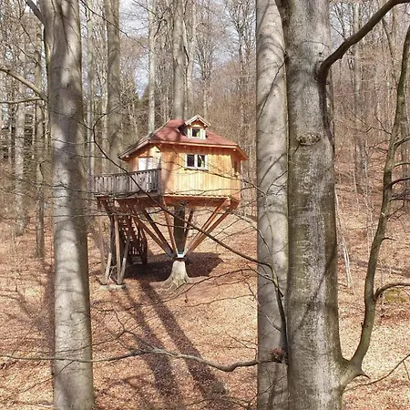 Baumhaushotel Solling *