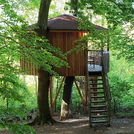 Baumhaushotel Solling *