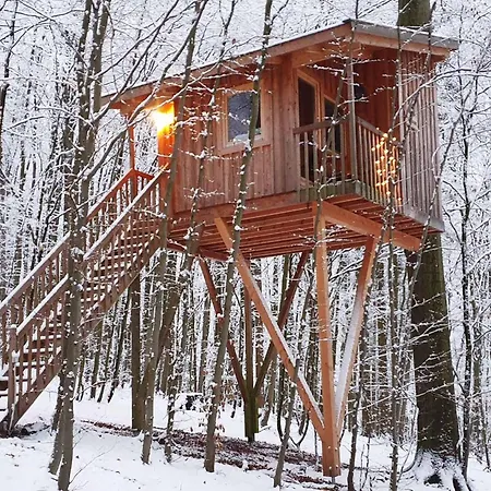 Hotel Baumhaushotel Solling *