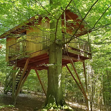 Hotel Baumhaushotel Solling *